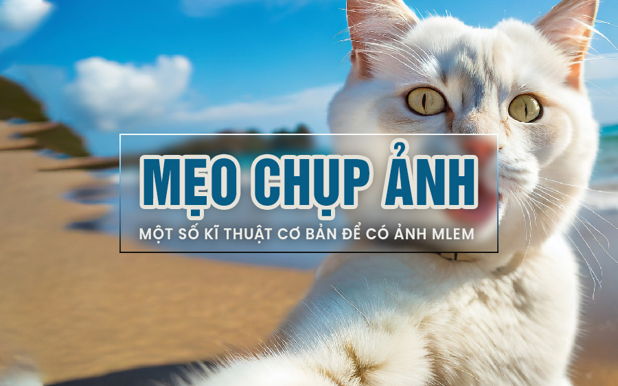 HDCHUP ANH-Cover-900x563